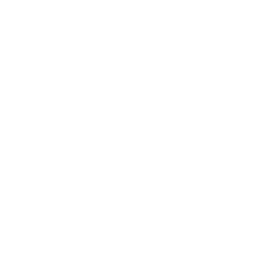 Flèche Bas